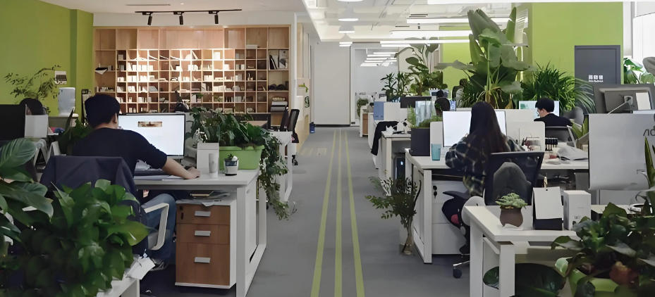 营口市向阳电脑学校轮播图5